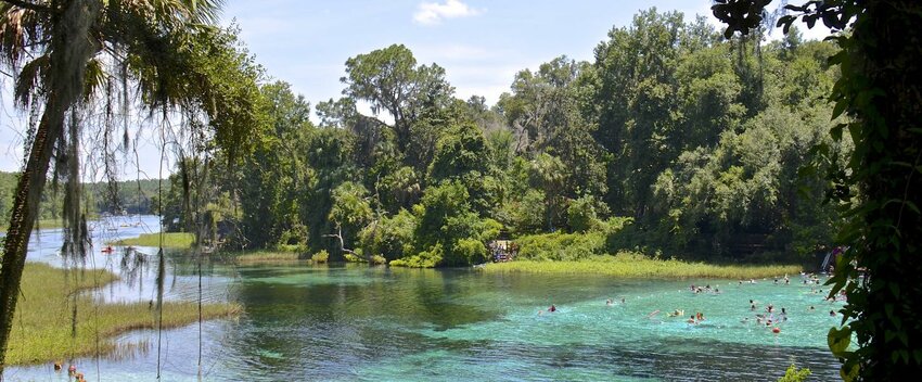 Swimmers enjoying Rainbow Springs State Park.